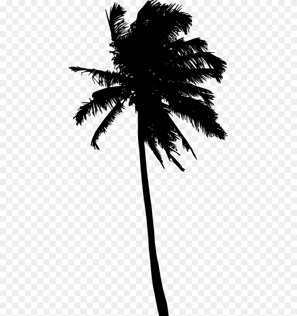 Transparent Palm Trees Clip Art Silhouette Palm Tree, Palm Tree, Plant, Person Free Png