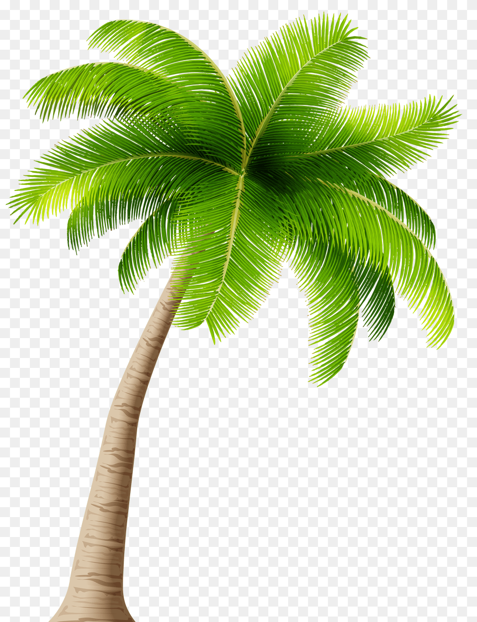 Palm Trees Background Palm Tree, Firearm, Gun, Machine Gun, Rifle Free Transparent Png