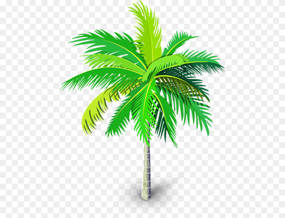 Transparent Palm Trees Transparent Palm Tree Vector, Palm Tree, Plant, Leaf Free Png