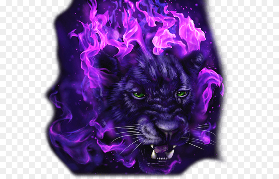 Transparent Panther Black Panther Purple Animal, Mammal, Wildlife, Lion, Tiger Png Image