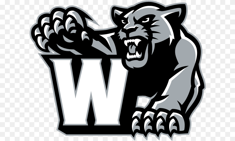 Transparent Panthers Clipart Western Panthers Logo, Electronics, Hardware, Person, Face Png