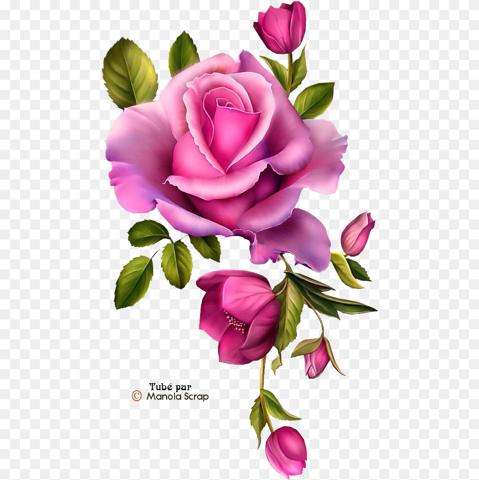 Transparent Paper Napkin Clipart Blue Rose Border, Flower, Plant, Petal, Flower Arrangement Free Png Download