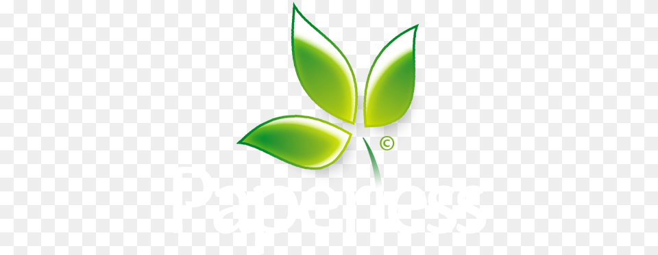 Transparent Paperless Logo, Green, Herbal, Herbs, Leaf Free Png