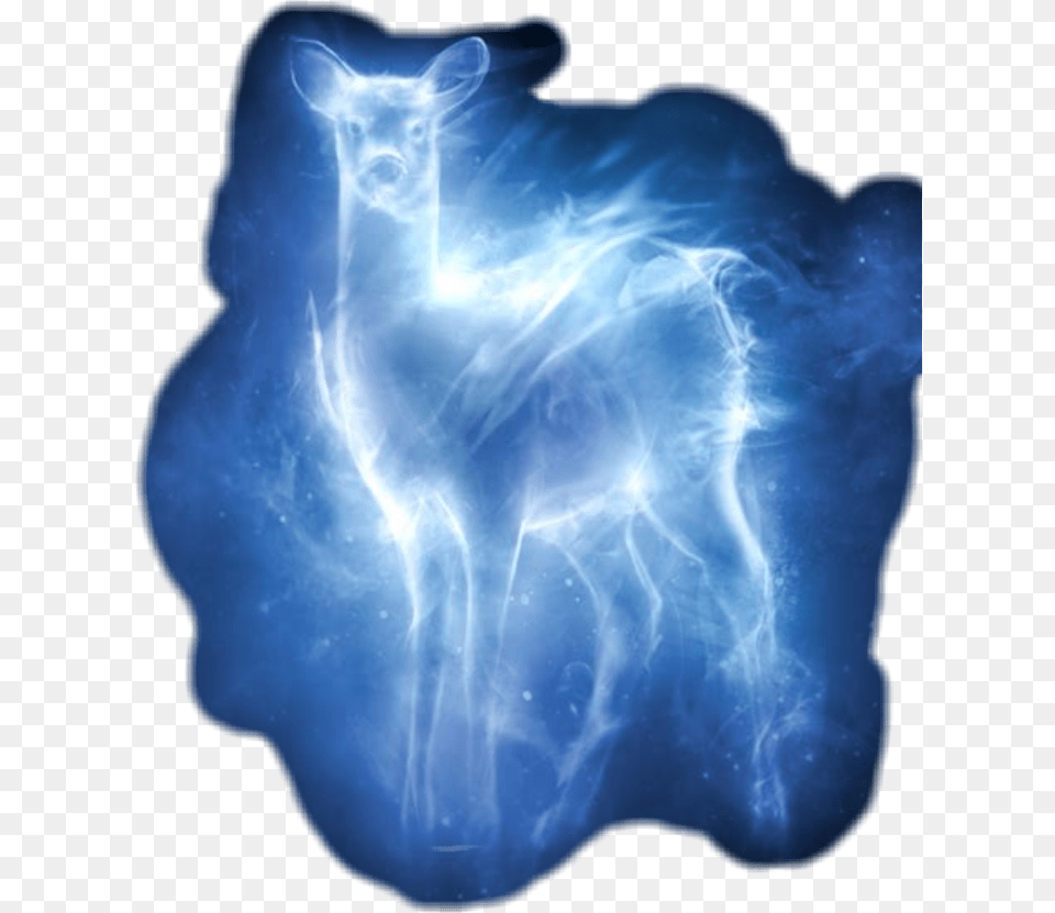 Patronus Doe Patronus, Accessories, Animal, Mammal, Pig Free Transparent Png