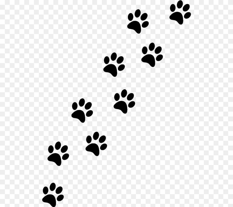 Transparent Paw Print Clipart, Gray Free Png
