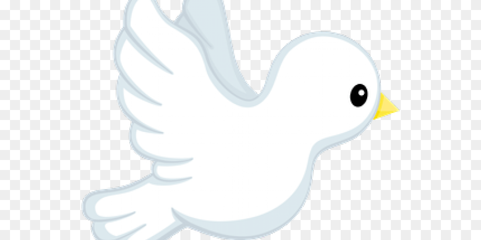Peace Dove Clipart Pigeons And Doves, Animal, Bird, Pigeon Free Transparent Png
