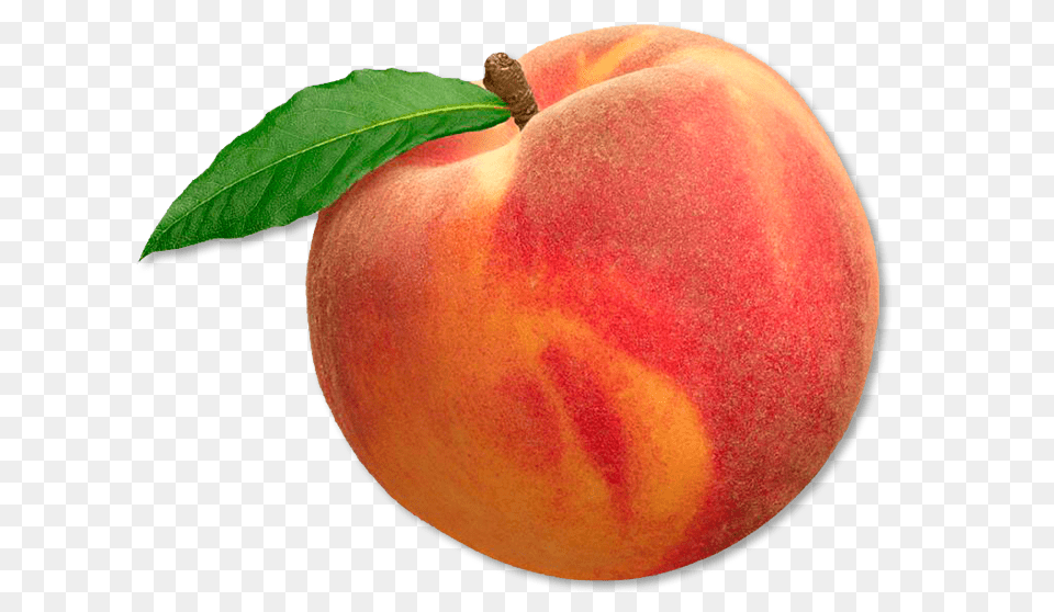 Transparent Peach Peach Fruit, Food, Plant, Produce, Pear Free Png Download