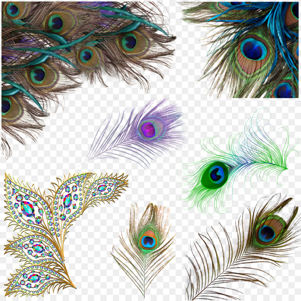 Transparent Peacock Feathers Peacock Feather, Accessories, Fractal, Ornament, Pattern Free Png Download
