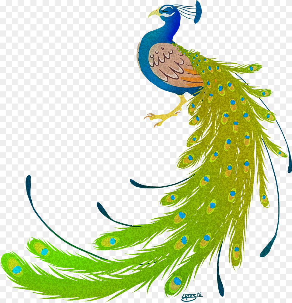 Transparent Peacock Peacock Images Hd, Animal, Bird Png Image