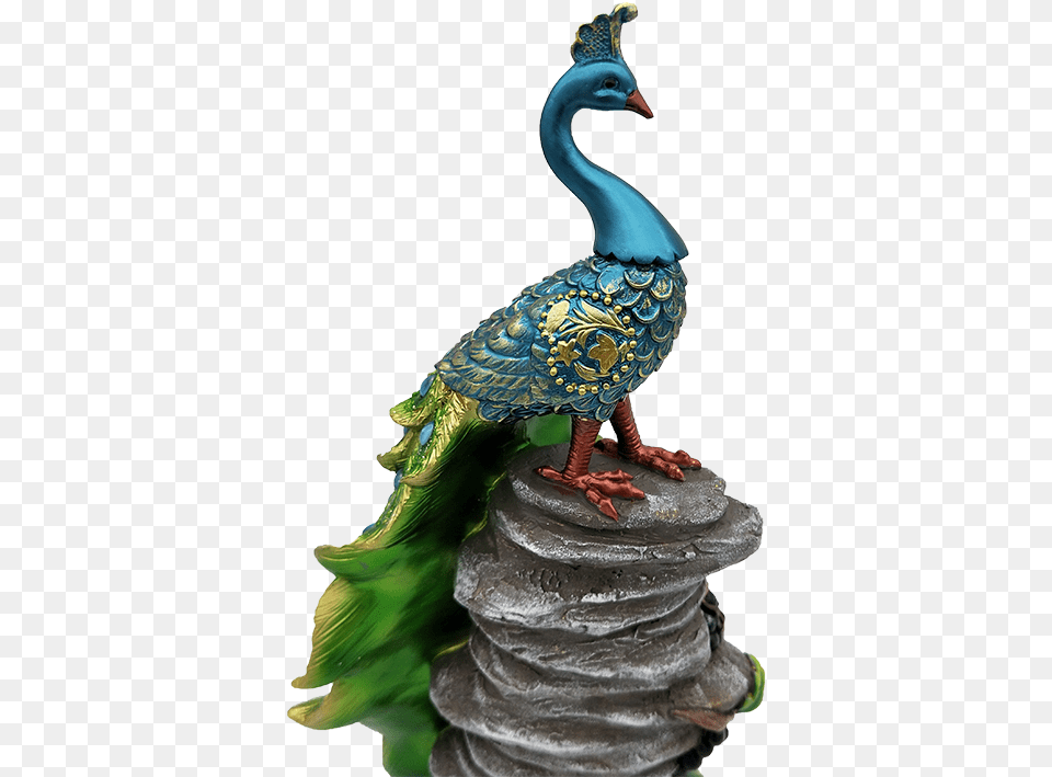 Transparent Peacock Turkey, Animal, Beak, Bird Free Png