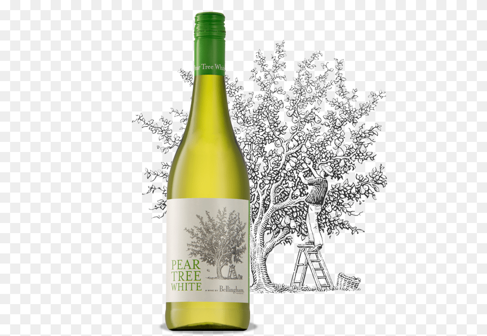 Transparent Pear Tree Bellingham Pear Tree White, Alcohol, Beverage, Bottle, Liquor Png Image