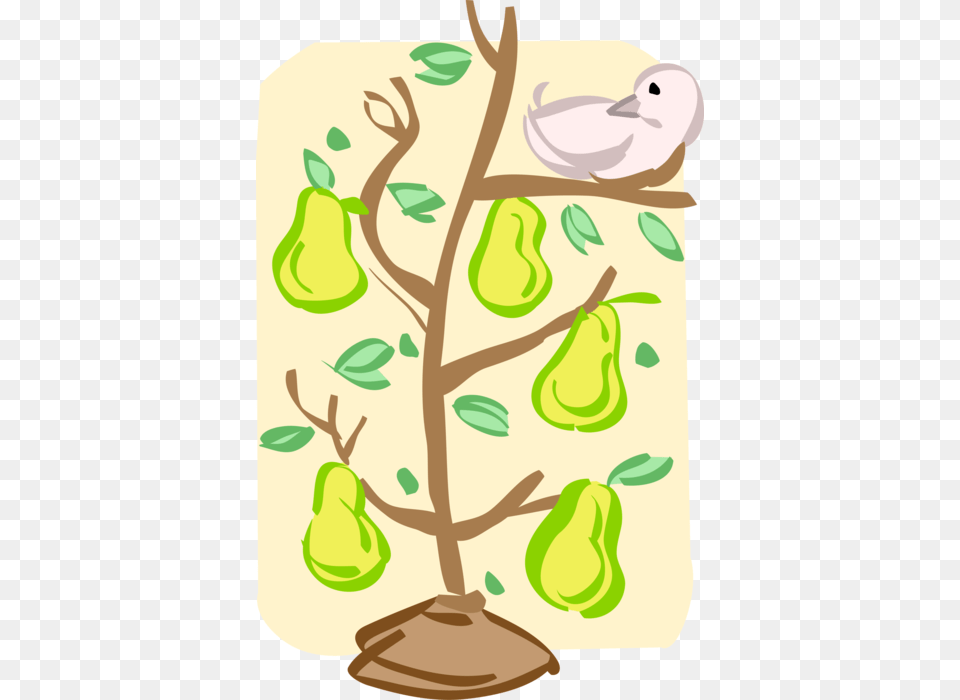 Pear Tree Partridge In A Pear Tree Vector, Food, Fruit, Plant, Produce Free Transparent Png