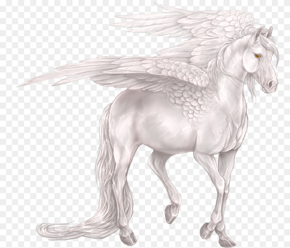 Transparent Pegasus Portable Network Graphics, Animal, Horse, Mammal Free Png