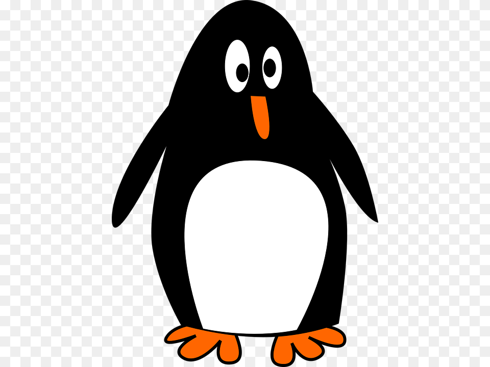 Transparent Penguin Clipart Penguin Cartoon Images, Animal, Bird, Astronomy, Moon Png Image