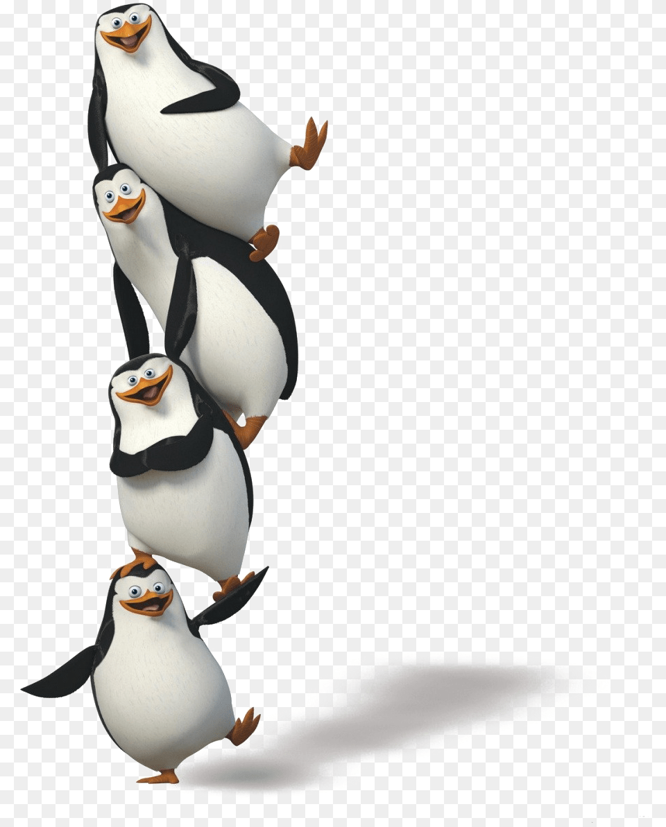 Transparent Penguins Of Madagascar Clipart, Animal, Bird, Penguin Png Image