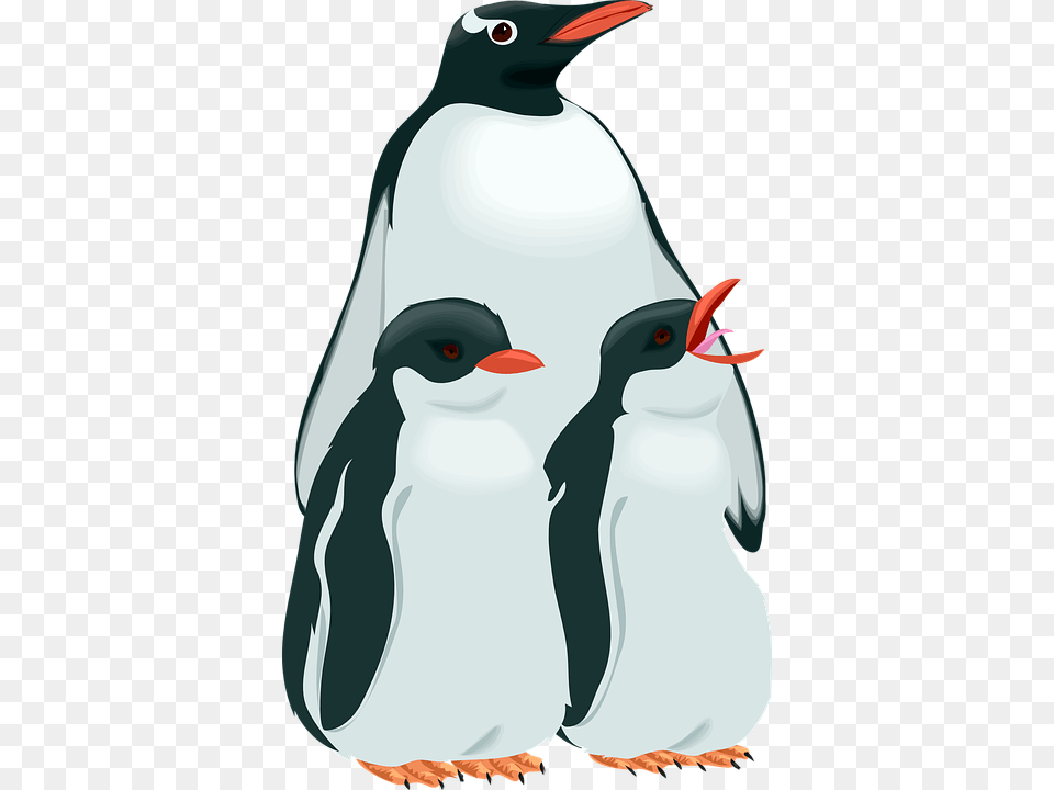 Transparent Penguins Penguin Family Clipart, Animal, Bird, Adult, Bride Free Png