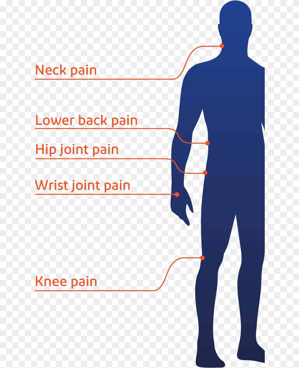 Transparent People Standing Back Illustration, Chart, Plot, Measurements, Adult Free Png