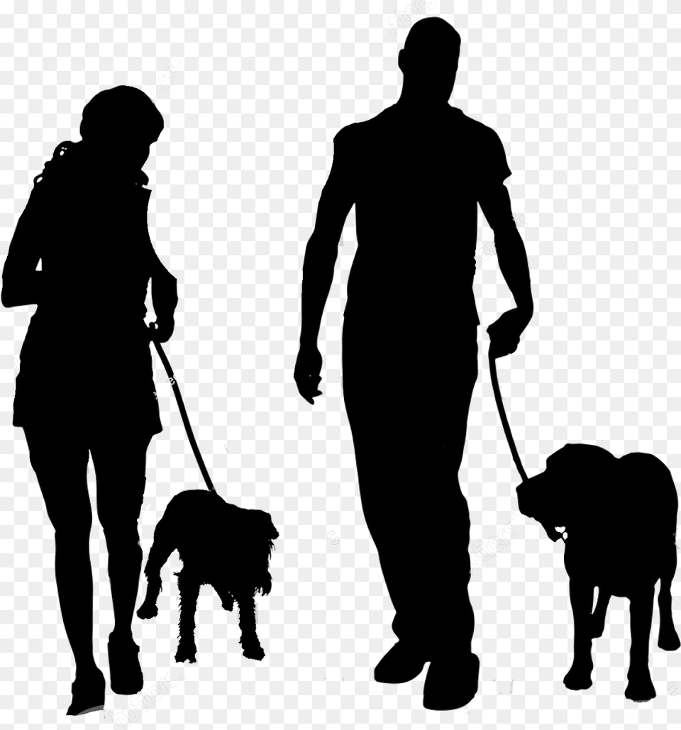People Walking Dog Dog Walk Silhouette, Person, Adult, Male, Man Free Transparent Png