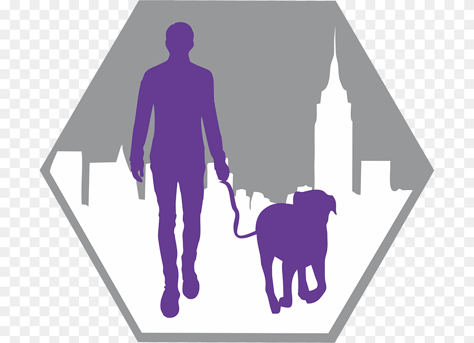 Transparent People Walking Dog Dog Walking, Person, Man, Adult, Male Free Png Download