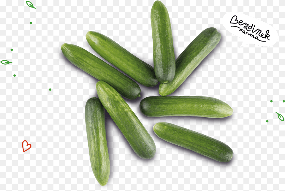 Transparent Pepino Cucumber, Food, Plant, Produce, Vegetable Png Image