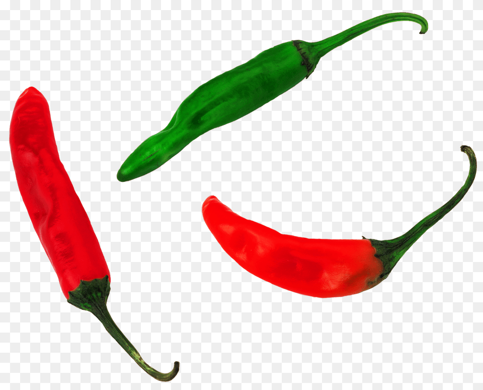 Transparent Pepper Plant Bird39s Eye Chili, Food, Produce, Vegetable, Bell Pepper Free Png