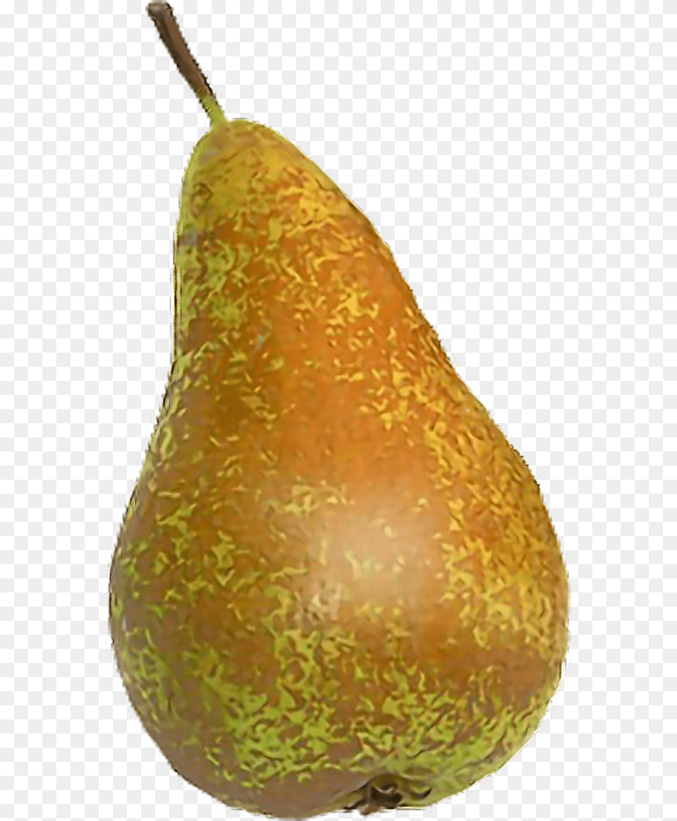 Transparent Pera Pear, Food, Fruit, Plant, Produce Png Image