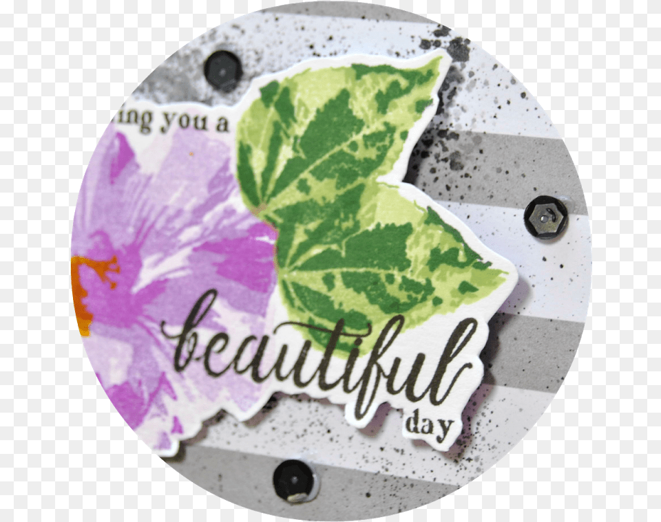 Transparent Perennial Label, Leaf, Plant, Plate, Flower Free Png