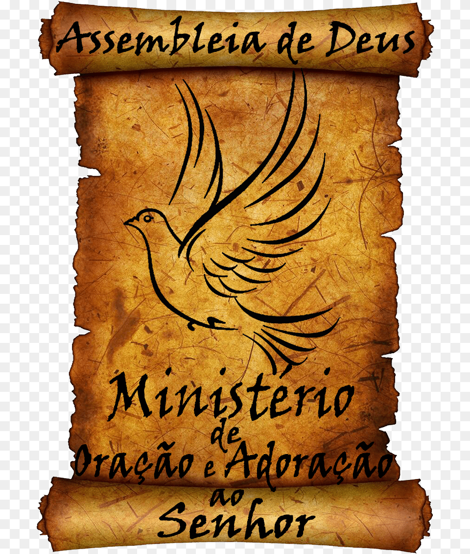 Transparent Pergaminho Poster, Text, Animal, Bird, Document Free Png