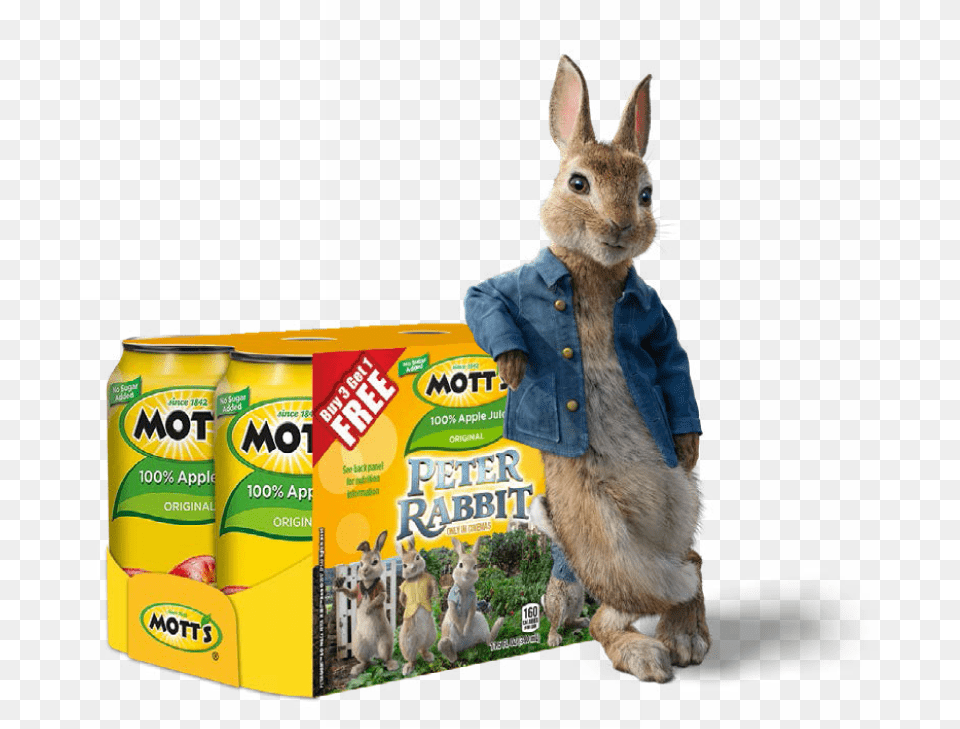 Peter Rabbit Motts Peter Rabbit, Animal, Mammal, Clothing, Coat Free Transparent Png