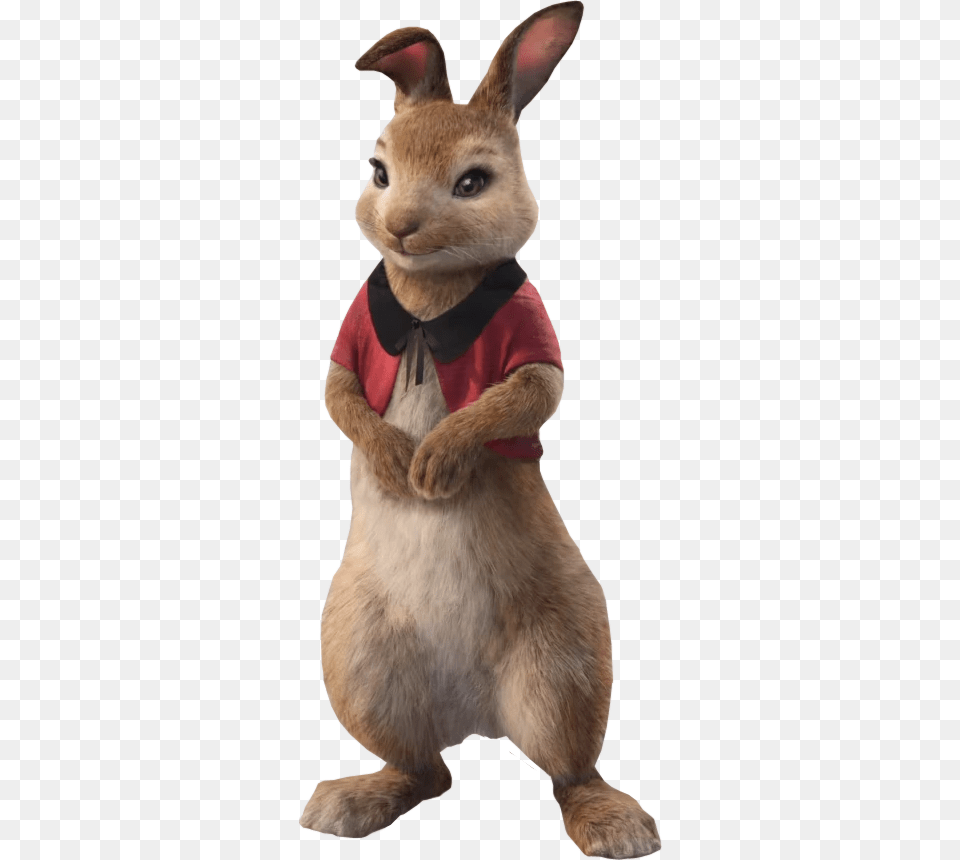 Transparent Peter Rabbit Peter Rabbit Characters Movie, Animal, Mammal, Cat, Pet Free Png