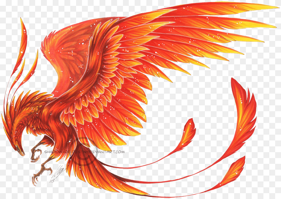 Transparent Pheonix Phoenix Bird Wing, Dragon, Animal Png Image