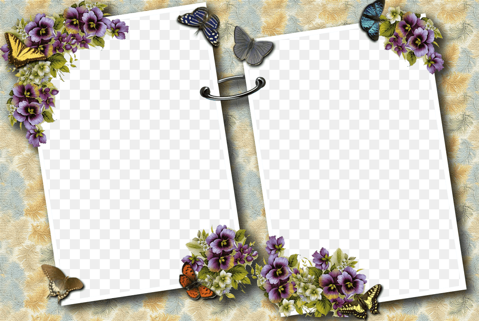 Transparent Photo Frames, Flower, Plant, Blade, Dagger Png