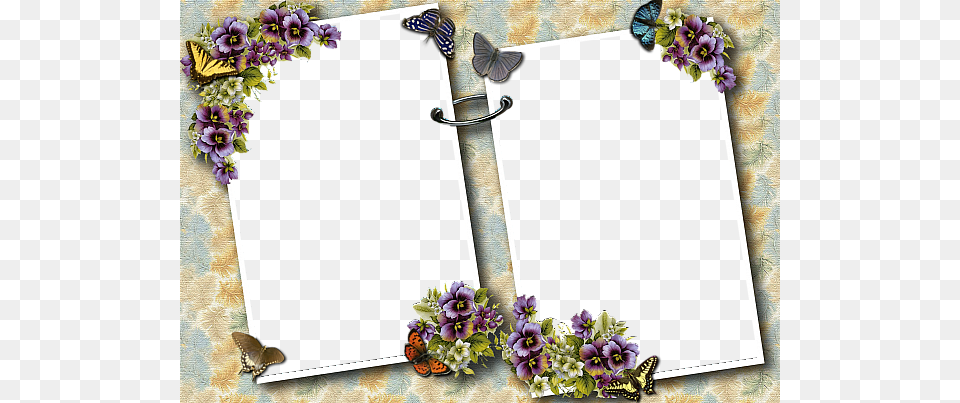 Transparent Photo Frames, Art, Collage, Flower, Plant Free Png Download