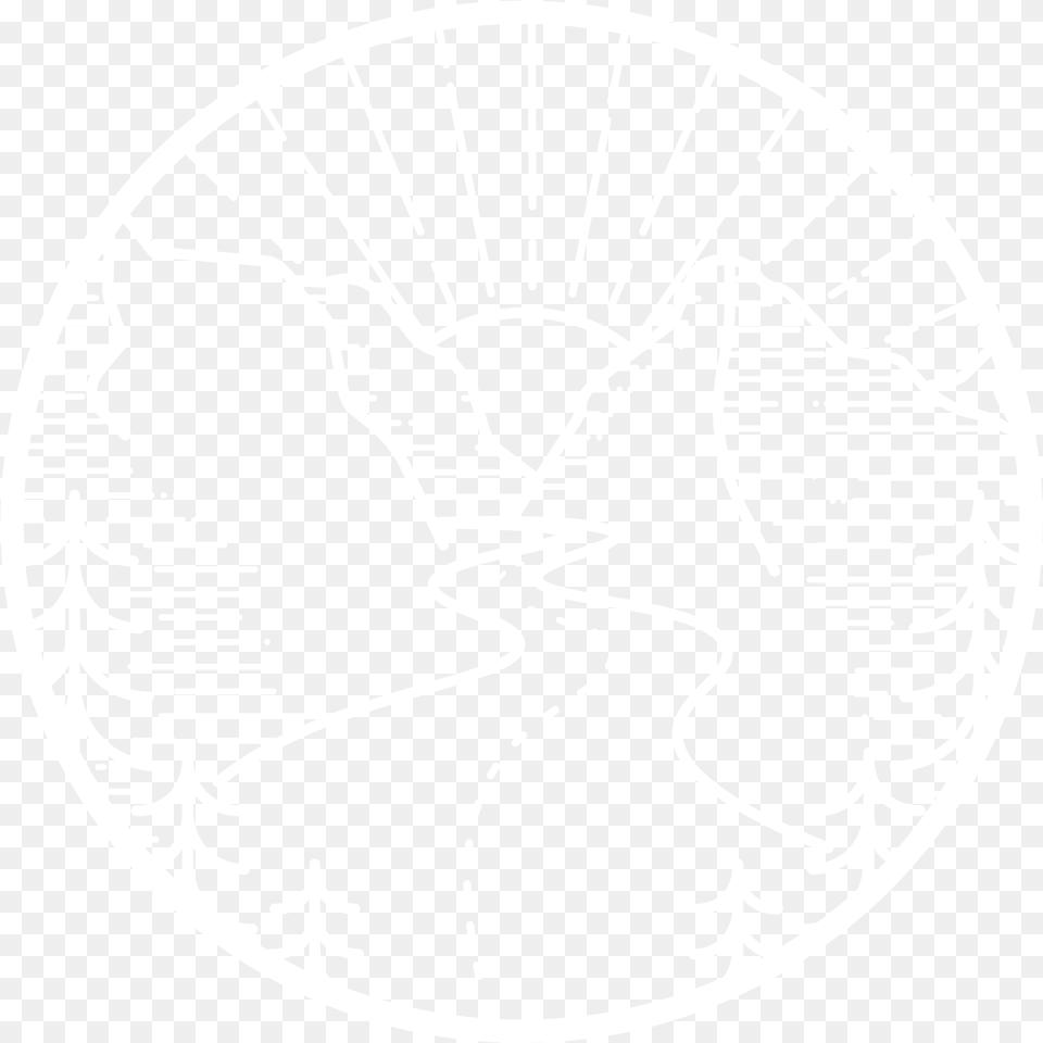 Transparent Photography Bicycle, Emblem, Symbol Free Png Download