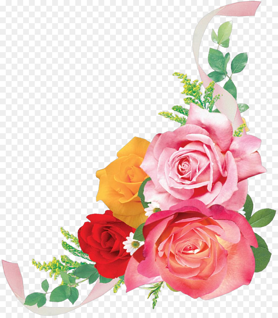 Transparent Photoshop Clipart Tamil Birthday Wishes For Son, Art, Floral Design, Flower, Flower Arrangement Png Image