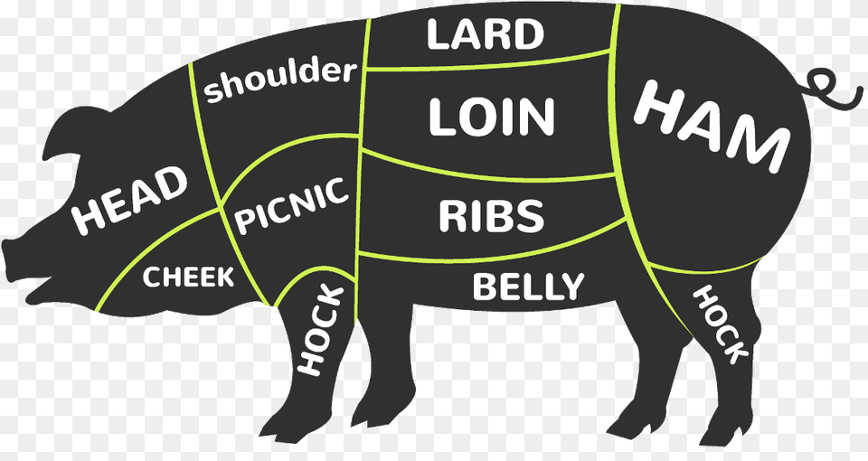 Transparent Pig Head Pig Slaughterhouse, Animal, Mammal, Hog, Chart Png