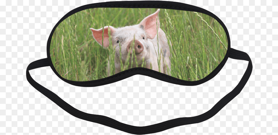 Transparent Pig Mask Eye Mask With Googly Eyes, Animal, Mammal, Hog Free Png