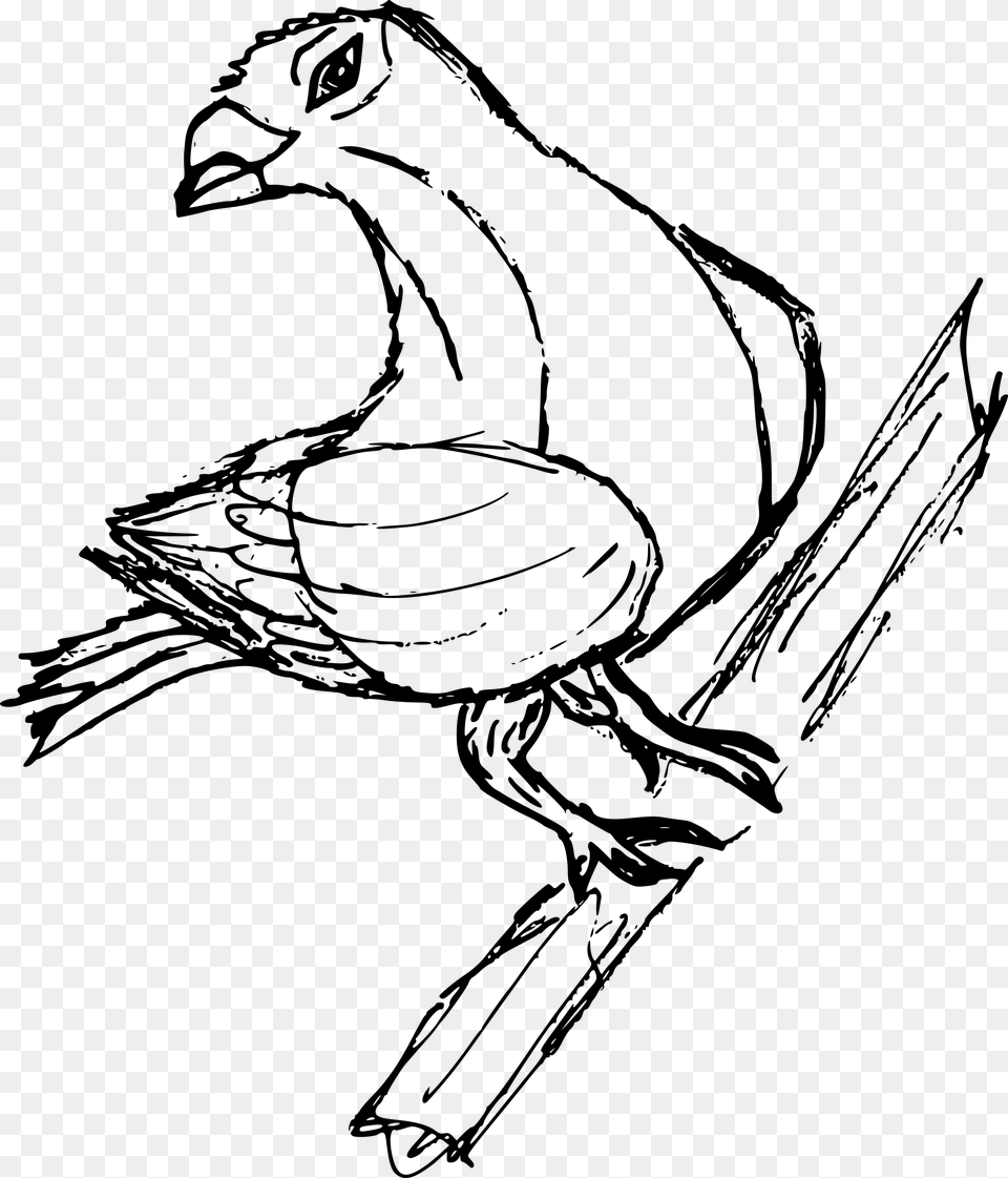 Transparent Pigeon Sketch, Gray Free Png Download