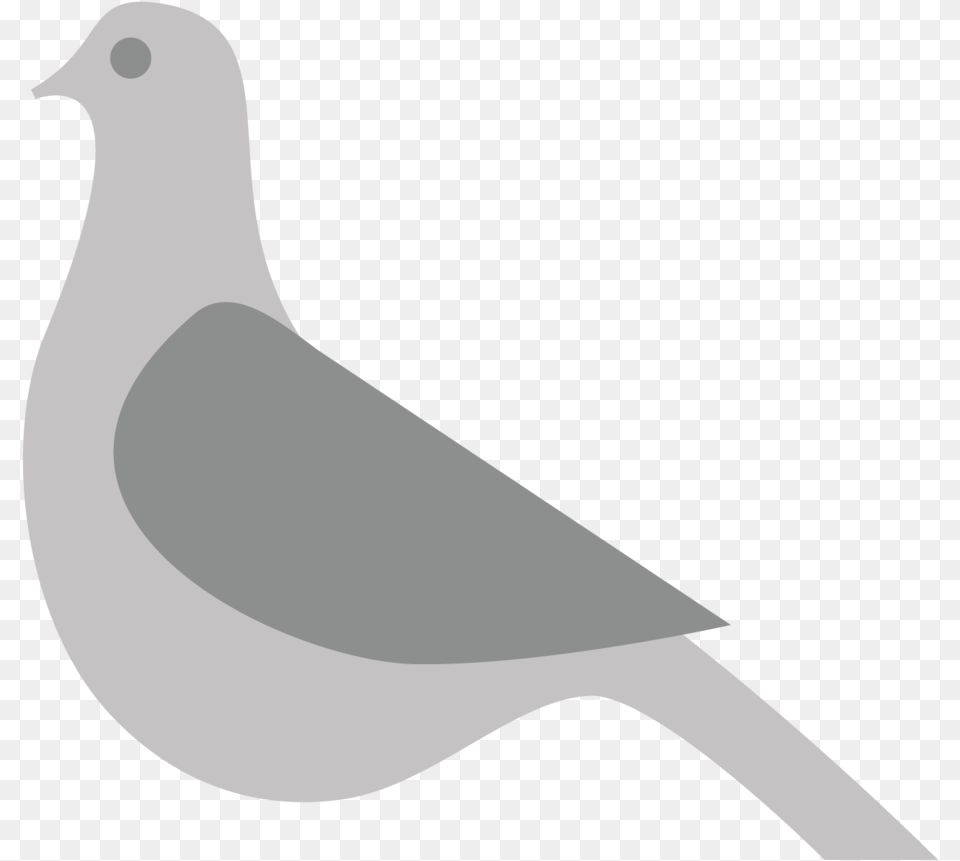 Transparent Pigeon Stock Dove, Animal, Bird Png