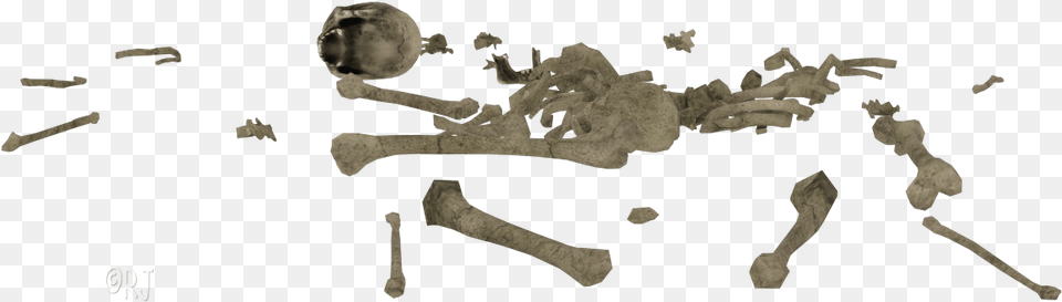 Transparent Pile Of Bones, Baby, Person, Skeleton Png Image