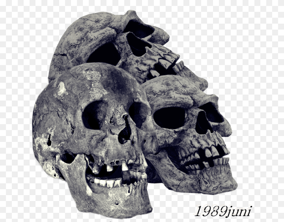 Transparent Pile Of Bones Clipart Transparent Skull, Face, Head, Person Free Png