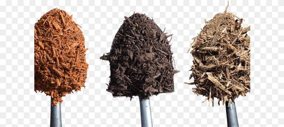 Transparent Pile Of Dirt Tree, Tobacco, Plant, Root Free Png