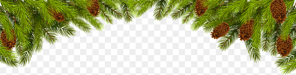 Transparent Pine Cone Clipart Christmas Pine Decoration Png Image