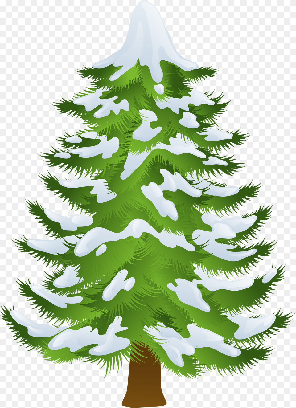 Transparent Pine Tree Clipart Png
