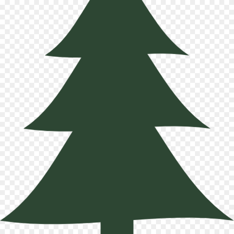 Transparent Pine Tree Vector Trees Vector Pine, Christmas, Christmas Decorations, Festival, Fir Png