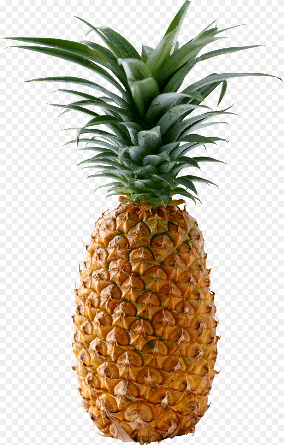 Transparent Pineapple, Food, Fruit, Plant, Produce Free Png