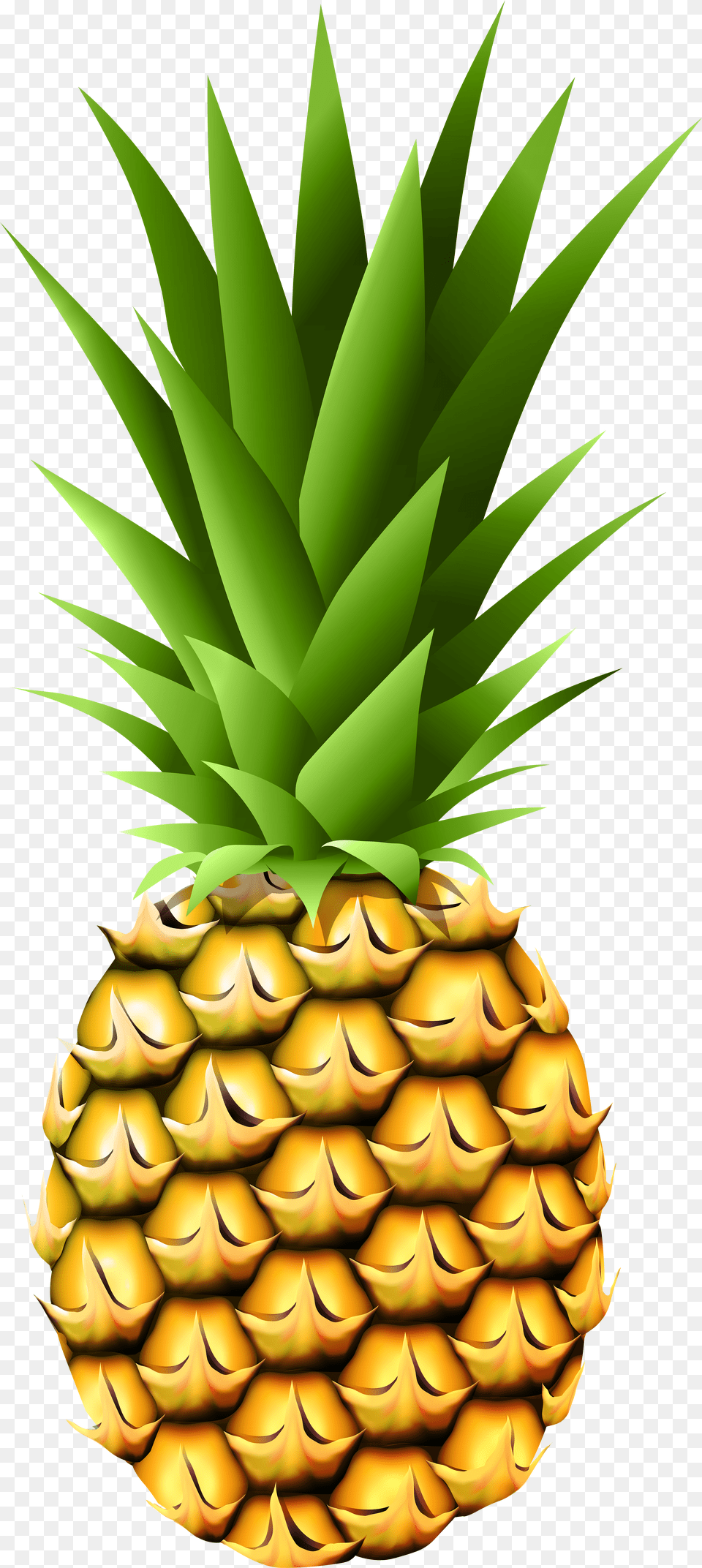 Transparent Pineapple Clipart Cartoon Png