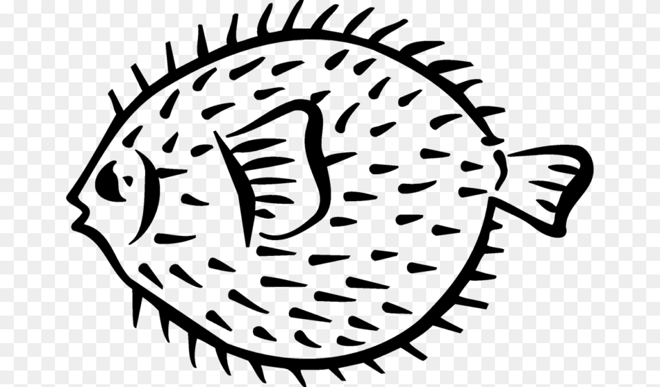 Transparent Pineapple Drawing Drawing A Puffer Fish, Art, Animal, Sea Life Png Image