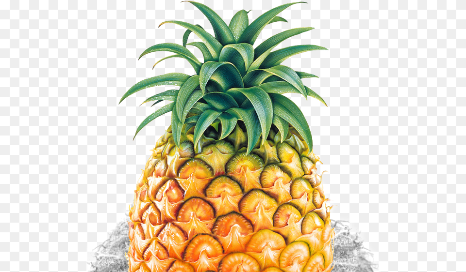 Transparent Pineapple Silhouette Pineapple Psd, Food, Fruit, Plant, Produce Png Image
