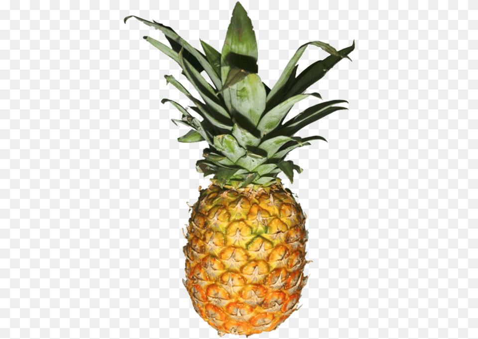 Transparent Pineapple Source Transparent Pineapple, Food, Fruit, Plant, Produce Free Png Download